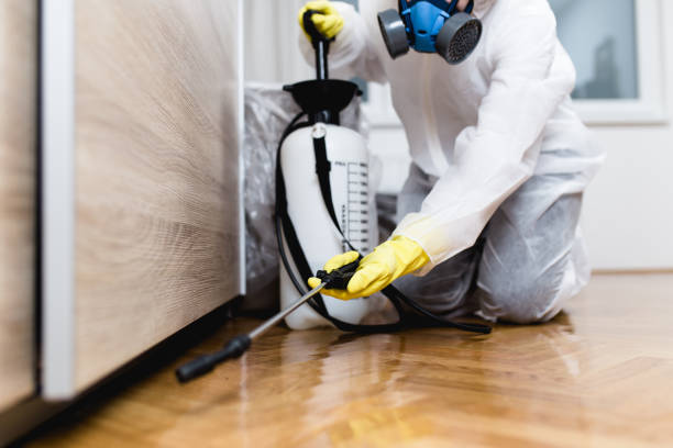 Wasp Removal Services in Melvindale, MI