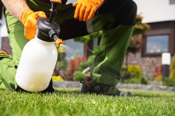 Best Flea Control Services  in Melvindale, MI