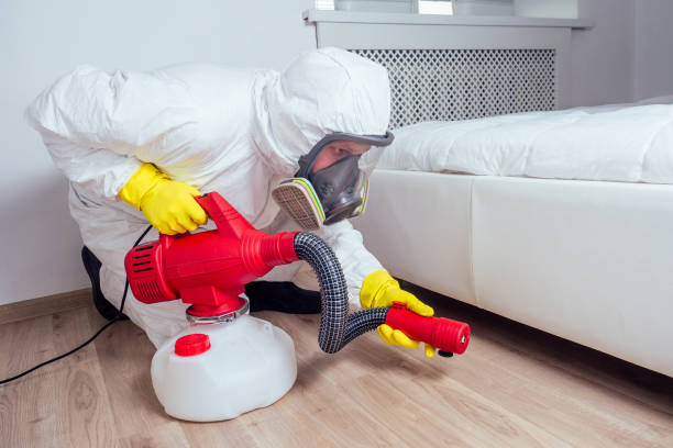 Flea Control Services in Melvindale, MI