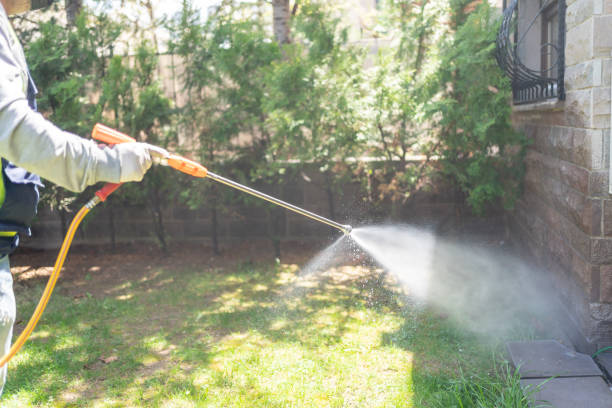 Best Pest Prevention Services  in Melvindale, MI