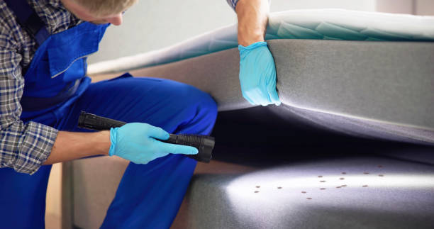 Best Best Pest Control Companies  in Melvindale, MI