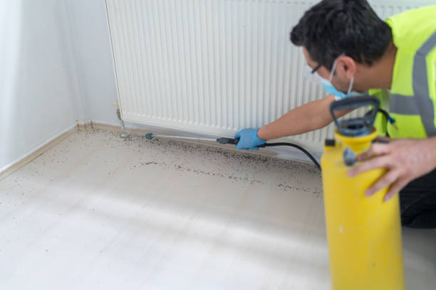Professional Pest Control in Melvindale, MI